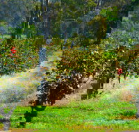 The Red Apron Gourmet Kitchen - VIC Tourism