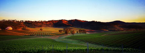 Dalwhinnie Wines - VIC Tourism 0