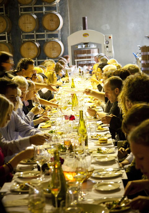 Dalwhinnie Wines - VIC Tourism 2