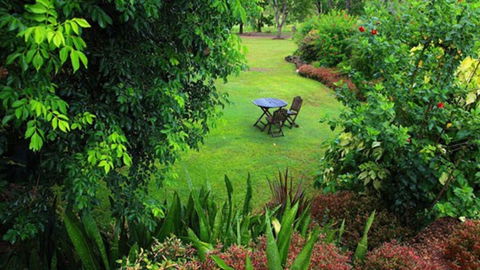 Emerald Springs - VIC Tourism 0