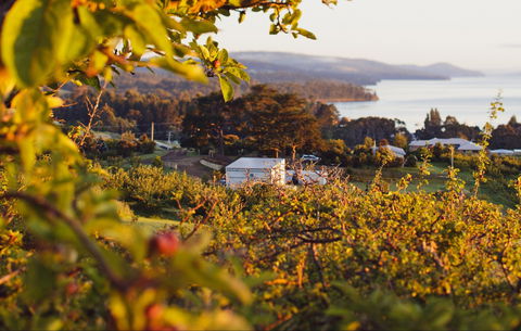 The Woodbridge Smokehouse - VIC Tourism 0