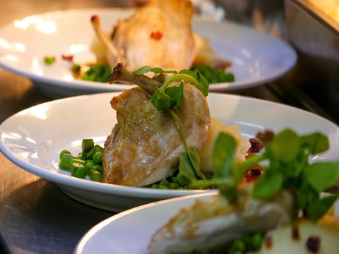 Griffith Exies Club - VIC Tourism 1