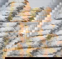 Theos Greek Cakes - VIC Tourism