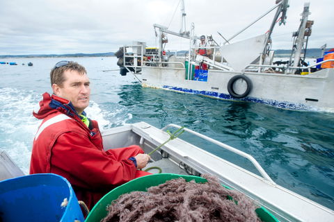 Peninsula Fresh Seafood - VIC Tourism 0