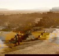 Petersons Wines - VIC Tourism