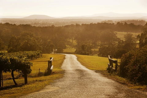 Petersons Wines - VIC Tourism 0