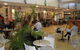 Red Chair Cafe - thumb 0