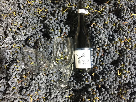 Tobin Wines - VIC Tourism 0
