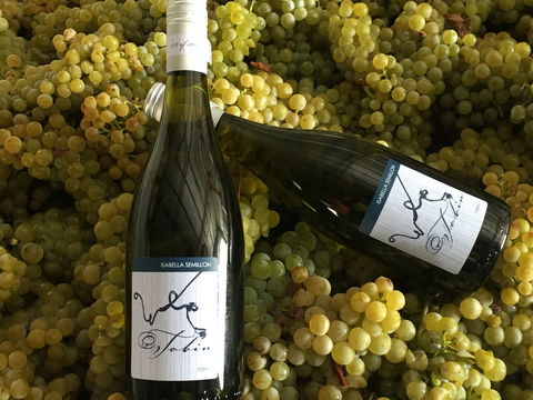 Tobin Wines - VIC Tourism 2