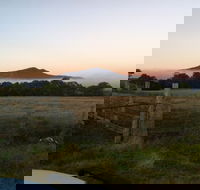 Mountainside Wines