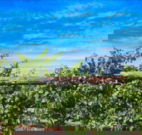 Rowsley Fault Vineyards - VIC Tourism