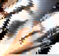 Seven Mile Brewing Co - VIC Tourism