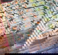 Tower Sushi - Docklands - VIC Tourism