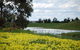 Kisaan Estate Winery - thumb 2