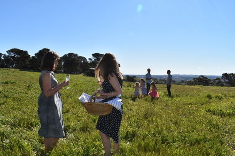 Paisley Wines - VIC Tourism 1