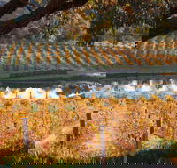 Sanguine Estate - VIC Tourism