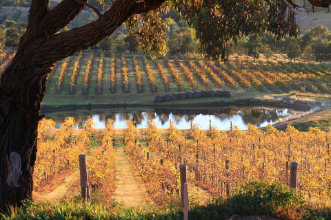 Sanguine Estate - VIC Tourism 0