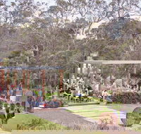 Green Olive at Red Hill - VIC Tourism