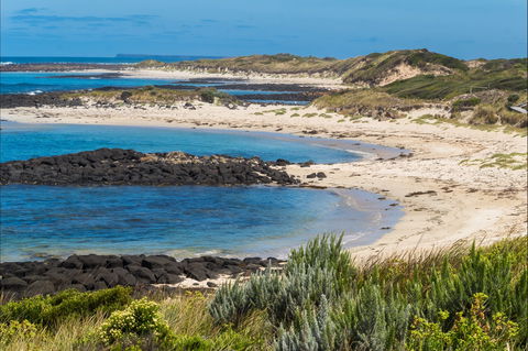Time And Tide Tearoom - VIC Tourism 2