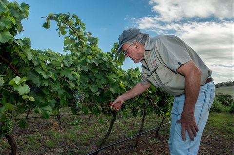 Vale Creek Wines - VIC Tourism 2