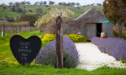 Hart Of The Barossa - VIC Tourism 0