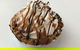 Oven Door Bakery Cafe Drover - thumb 0