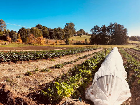 Synchronicity Farm - VIC Tourism 0