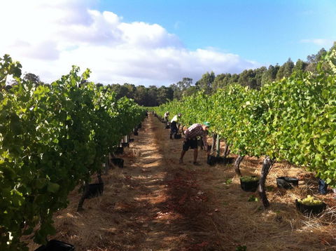 Ashbrook Estate - VIC Tourism 1