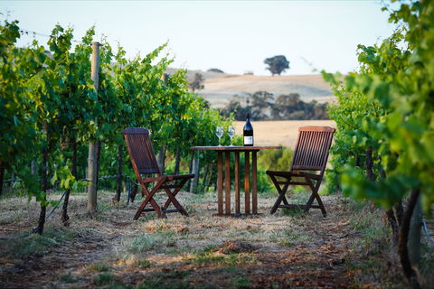 Indigo Vineyard - VIC Tourism 1