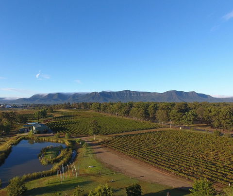 Mistletoe Winery - VIC Tourism 0