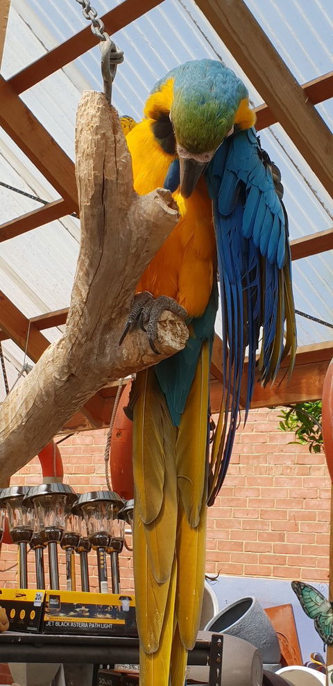 Sarah's Sister's Sustainable Cafe - VIC Tourism 32