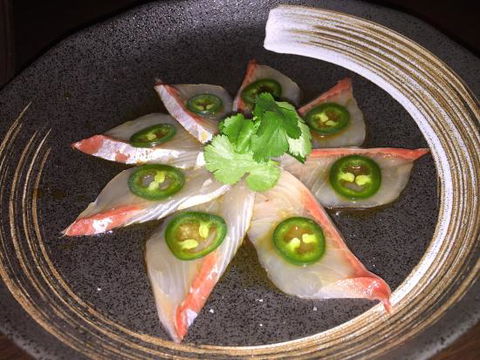Ogenki - VIC Tourism 0