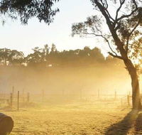 Spot Pea - VIC Tourism