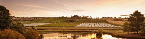 Fish Creek Hotel - VIC Tourism 10