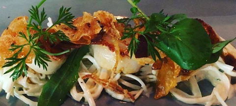 Paddock & Vine - VIC Tourism 1