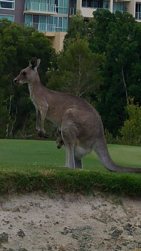 T On Course - VIC Tourism 3