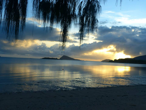 Dingo Beach Hotel - VIC Tourism 4