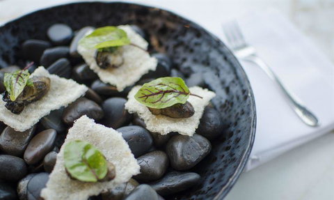 V Series - VIC Tourism 11