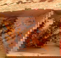 Nando's Casuarina - VIC Tourism