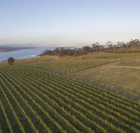 Bangor Vineyard Shed - VIC Tourism