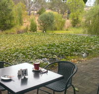 Avocados - VIC Tourism
