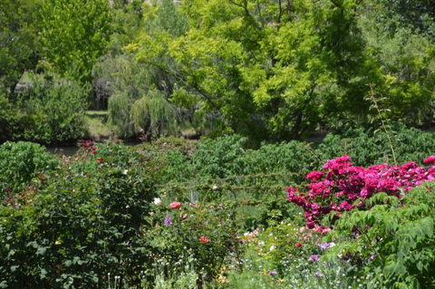 Berry Delightful - VIC Tourism 0