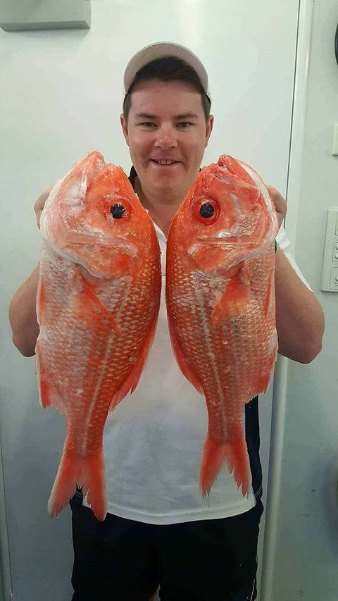 Hooked On Middleton Beach Fish & Chips - VIC Tourism 2