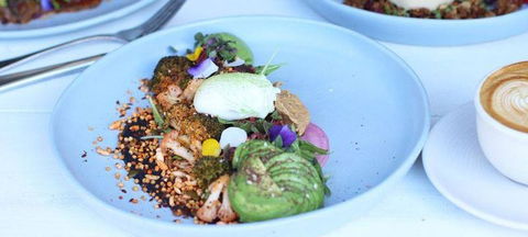Industry Beans - VIC Tourism 2