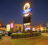 Dog  Parrot Tavern - VIC Tourism