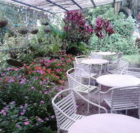 The Cafe Bellenden Ker - VIC Tourism