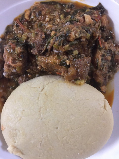 A Taste Of Africa Maleny - VIC Tourism 3