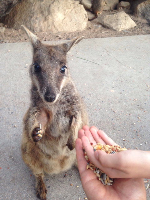 Gilligan's Cafe Bar - VIC Tourism 4