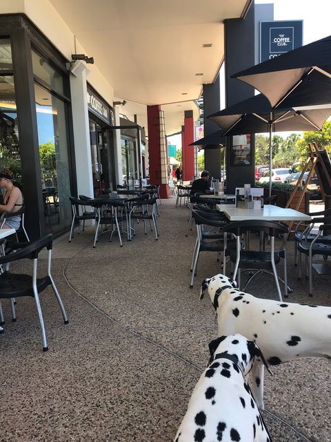 The Coffee Club Coolum Beach - VIC Tourism 5