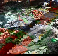 Hotel Settlers - VIC Tourism